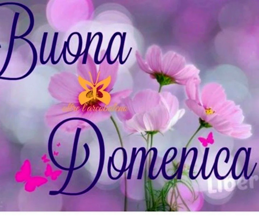 Buona domenica картинки