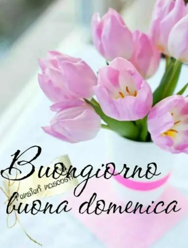 Buona domenica открытки