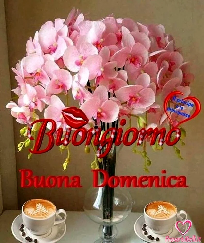 Buona domenica открытки