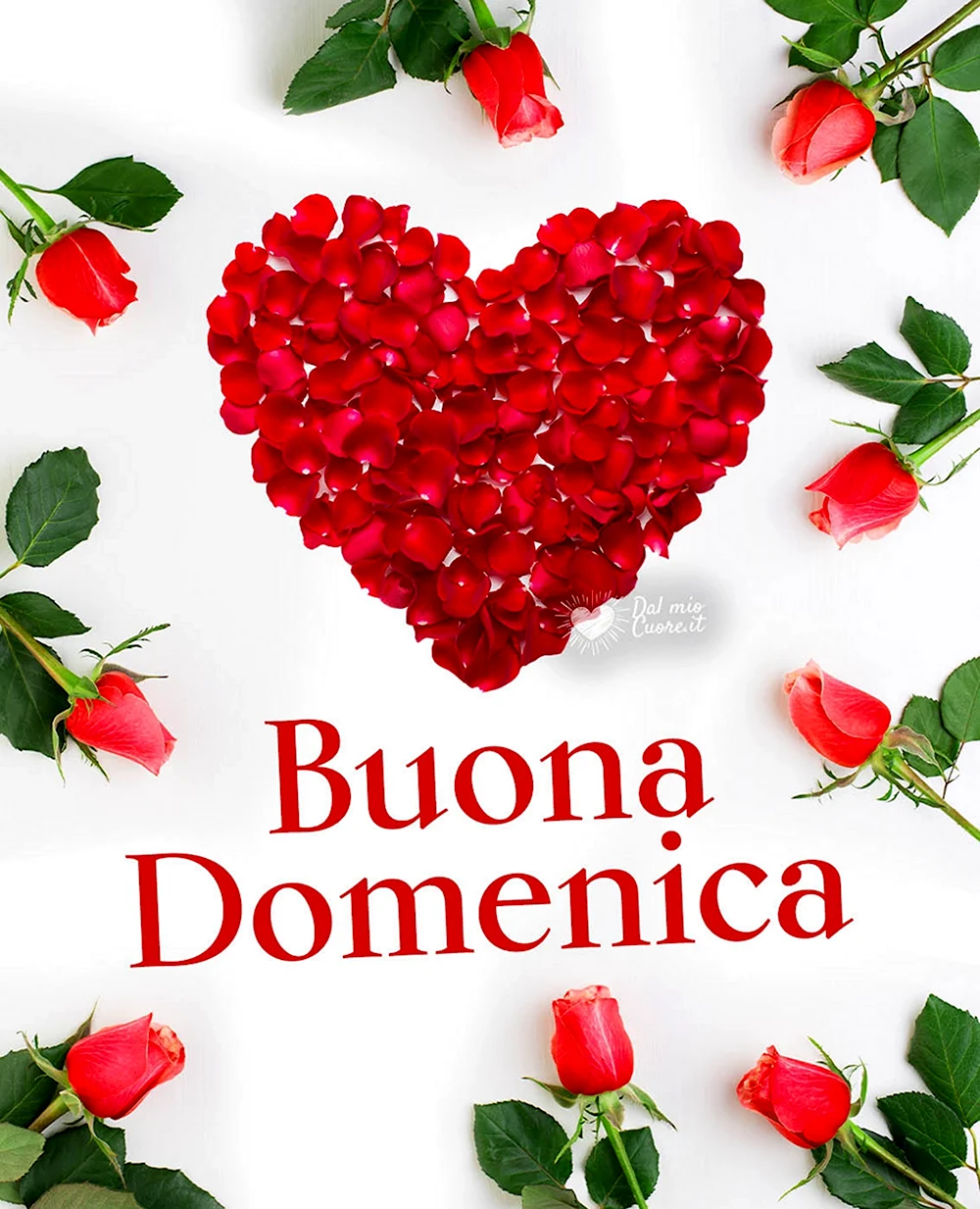 Buona domenica открытки