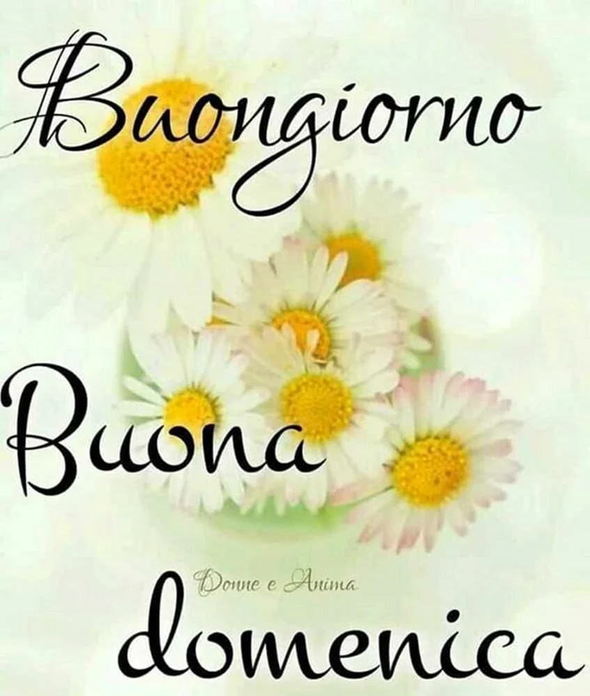 Buona domenica открытки buongiorno