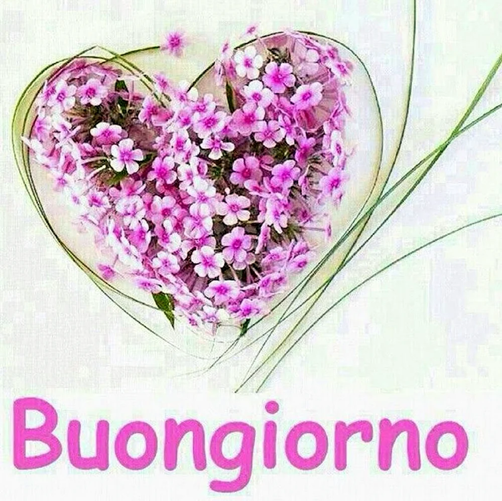 Buongiorno открытки