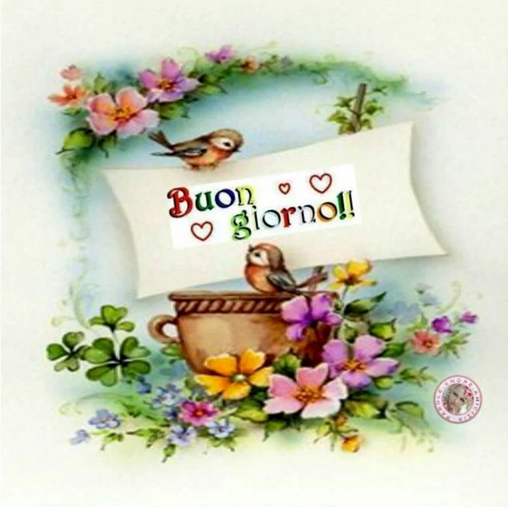 Buongiorno открытки