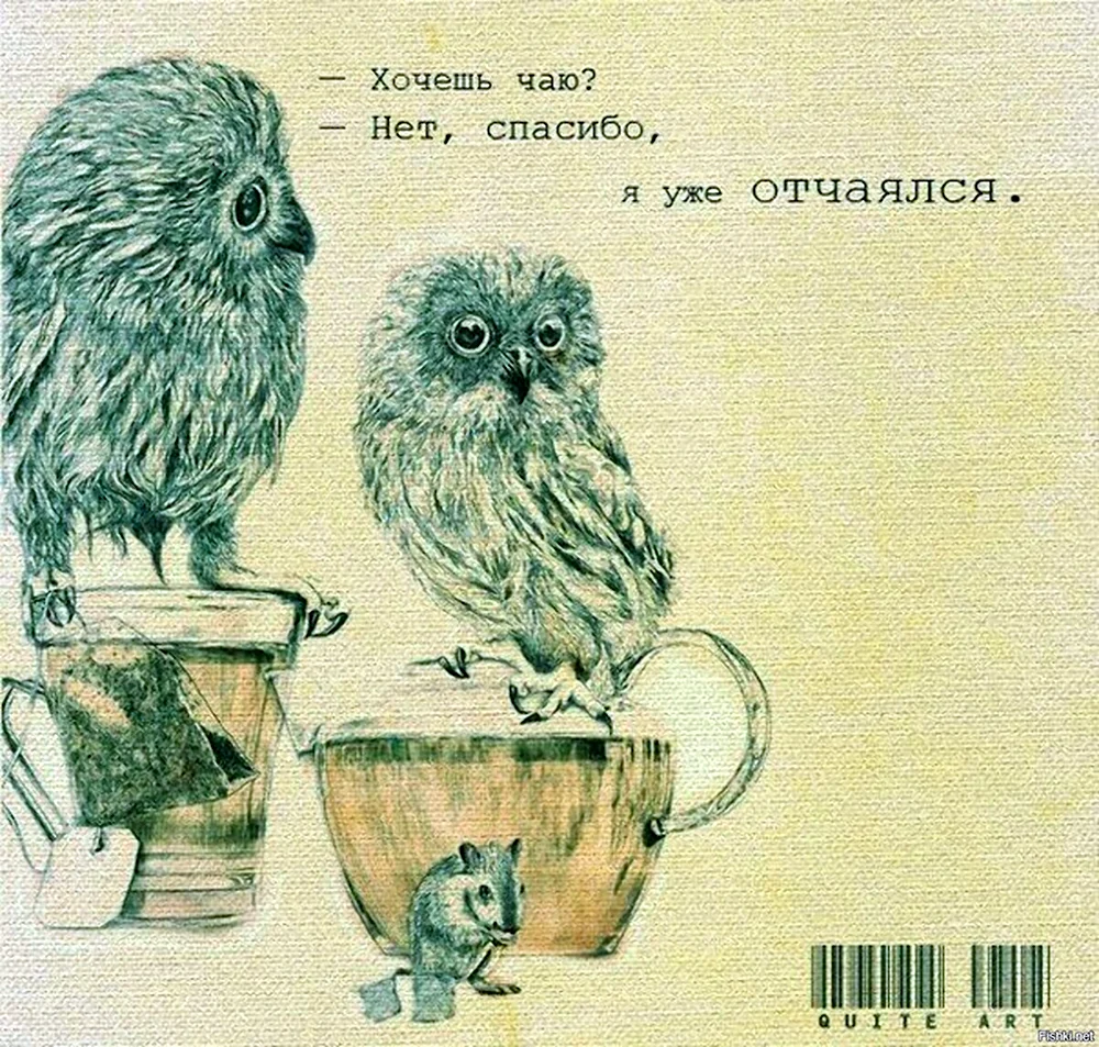 Чай с совой