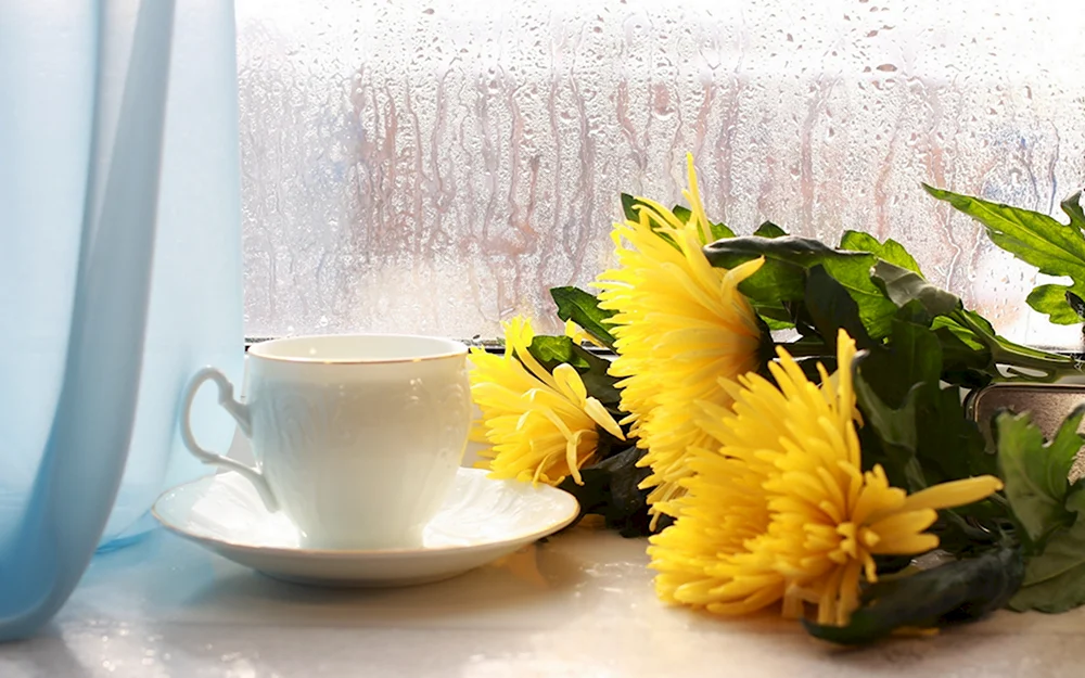 Чашка кофе и хризантемы