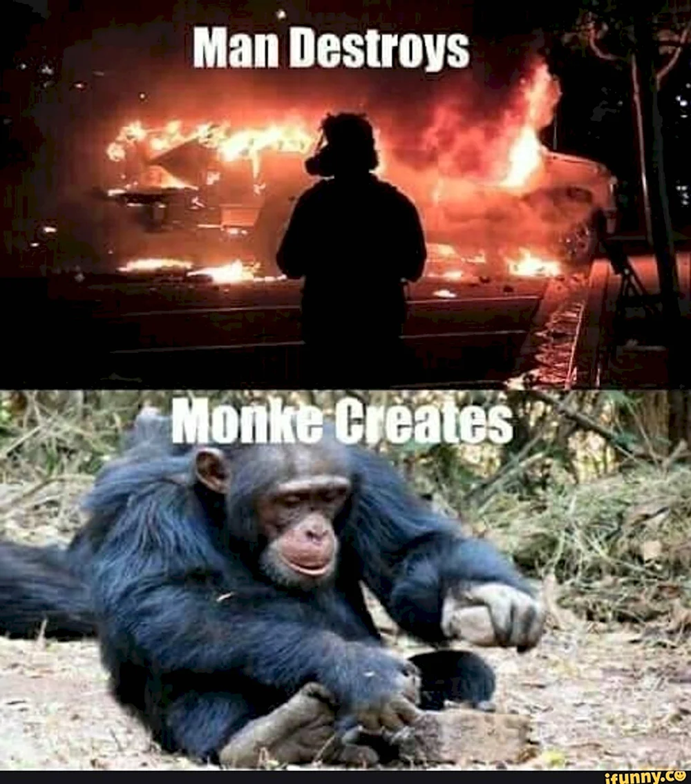 Чел обезьяна Мем