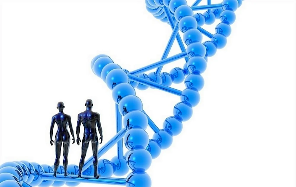 Человечек в виде ДНК