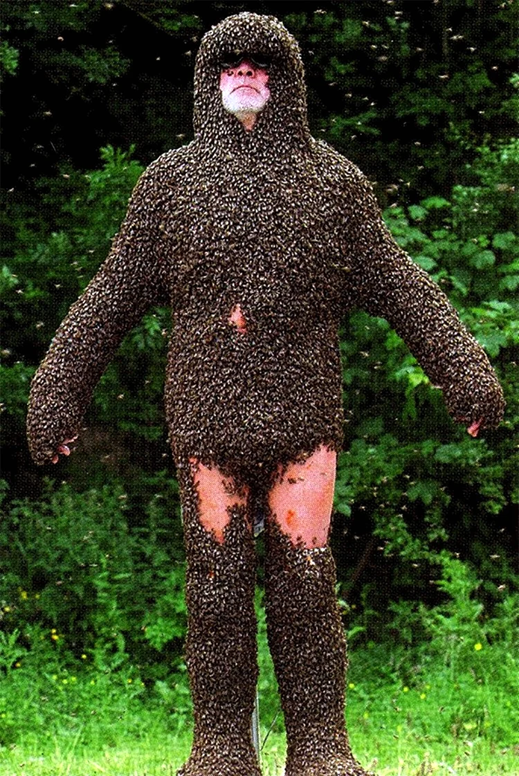 Человек пчела