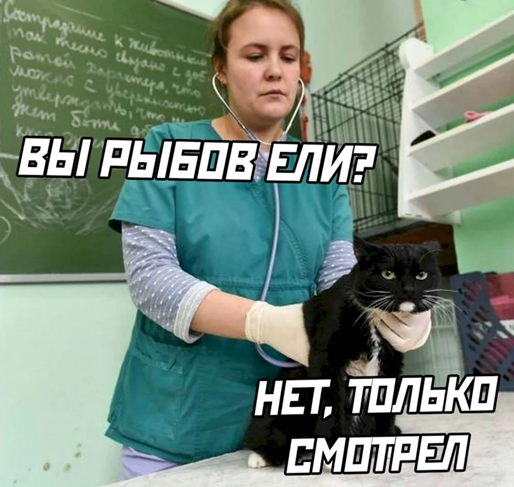 Черемицына Наталья Николаевна ветеринар