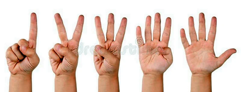 Числа на пальцах для детей