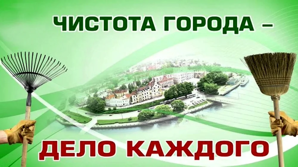 Чистота города дело каждого