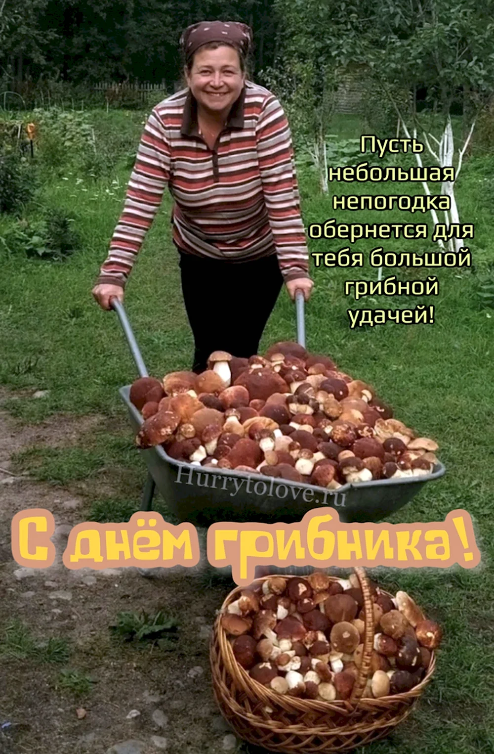 Что за гриб
