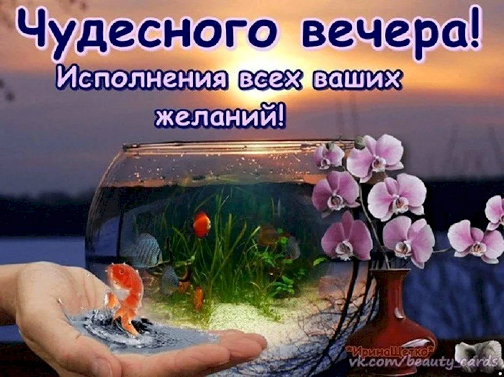 Чудесного вечера