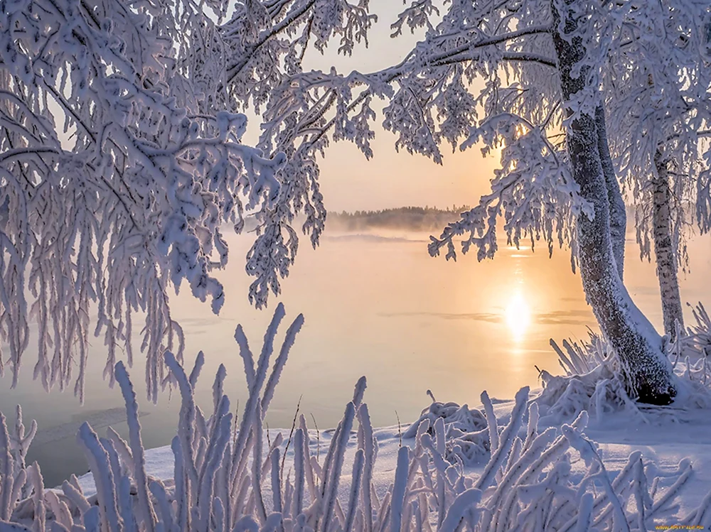 Чудское озеро зима