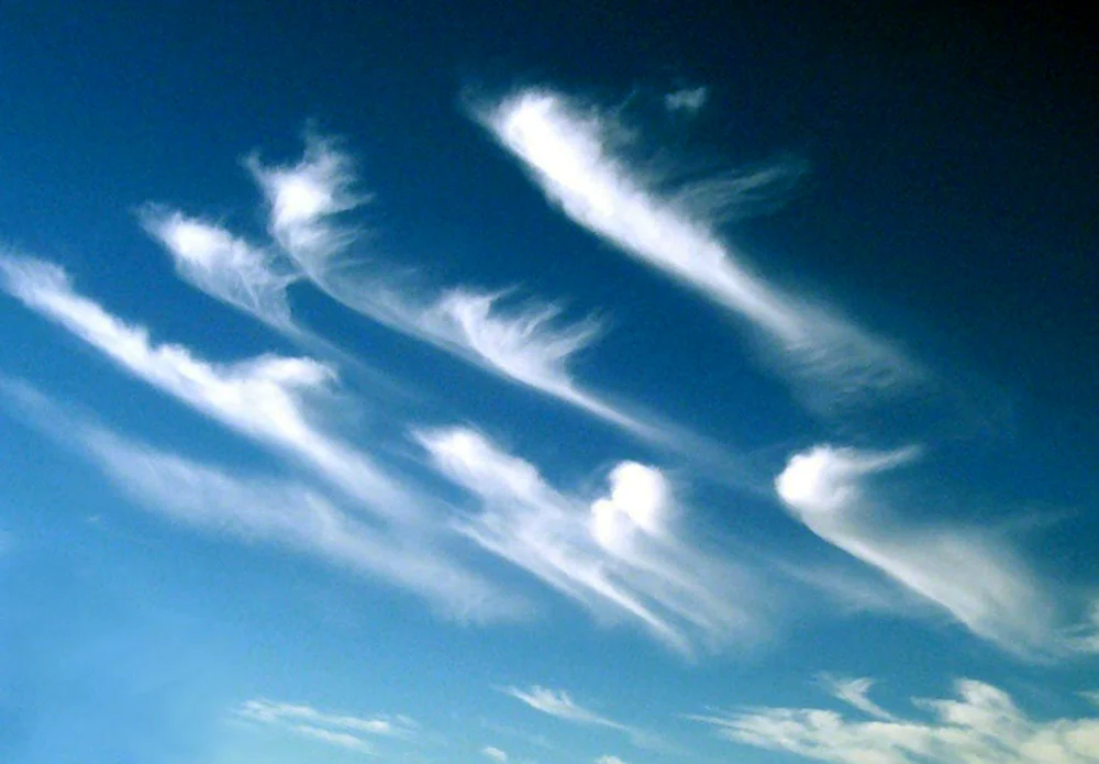 Cirrus перистые облака