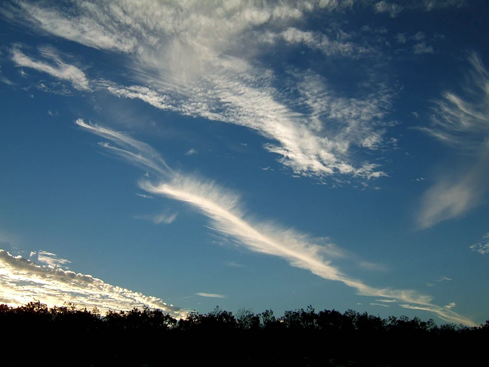Cirrus перистые облака