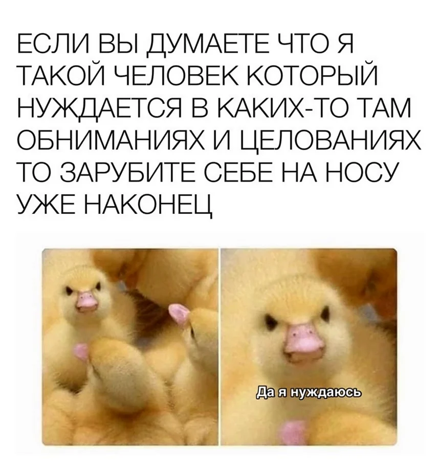 Да я нуждаюсь утенок