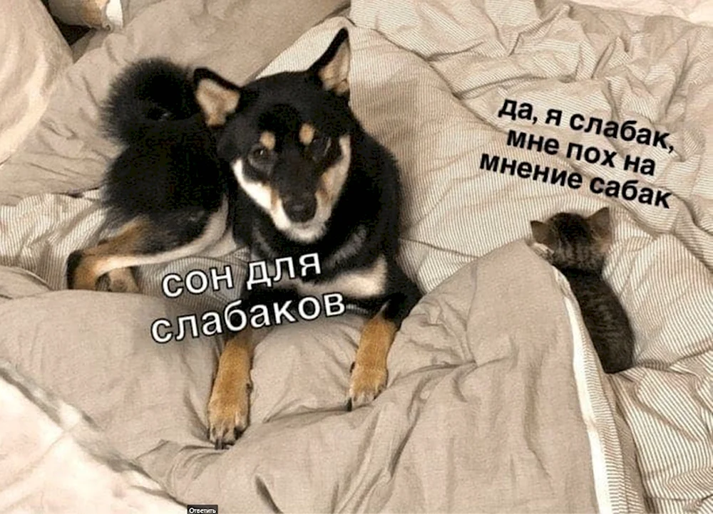 Да я слабак мне пох на мнение сабак