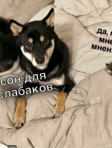 Да я слабак мне пох на мнение сабак