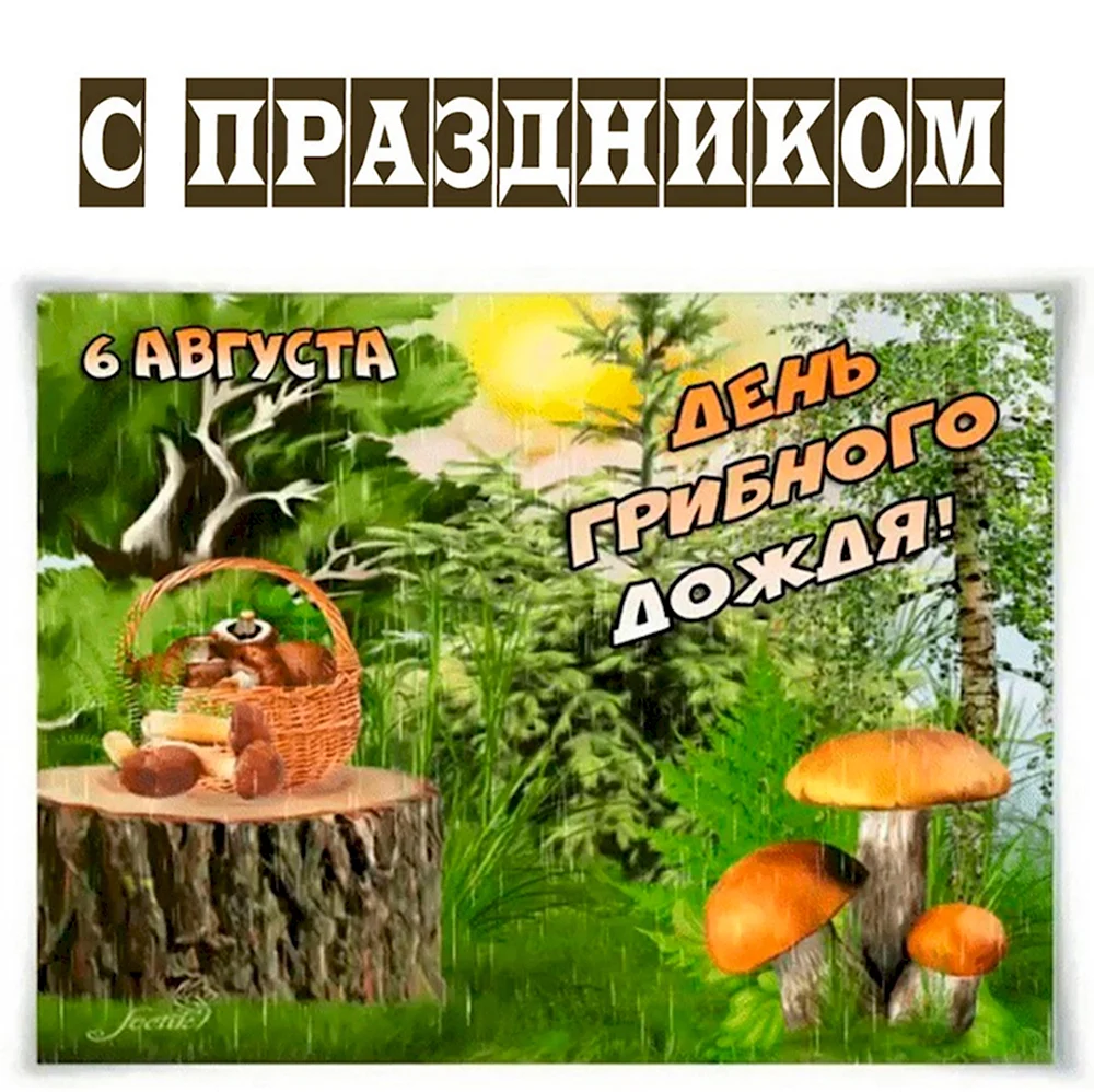 День грибного дождя