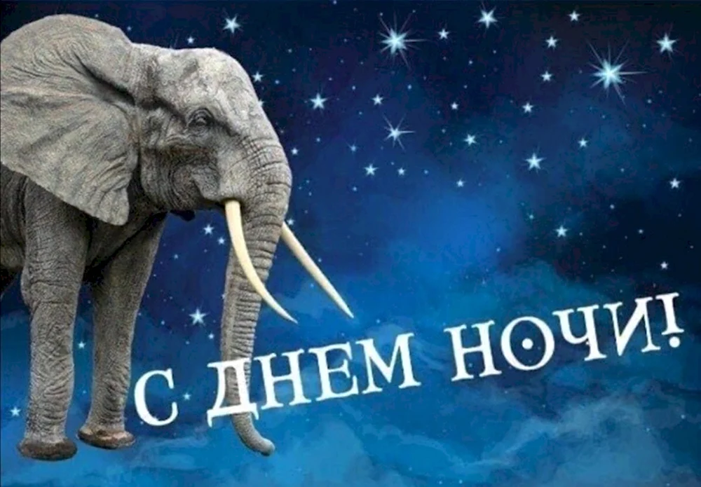 День и ночь