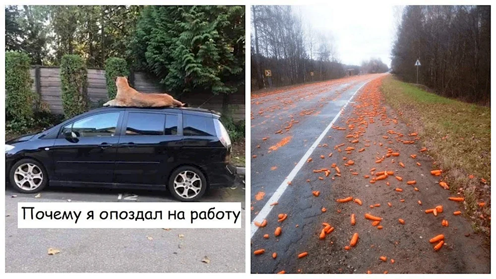 День не задался