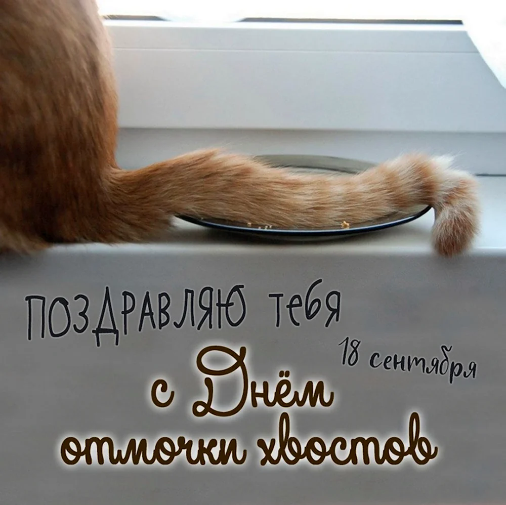 День отмочки хвостов