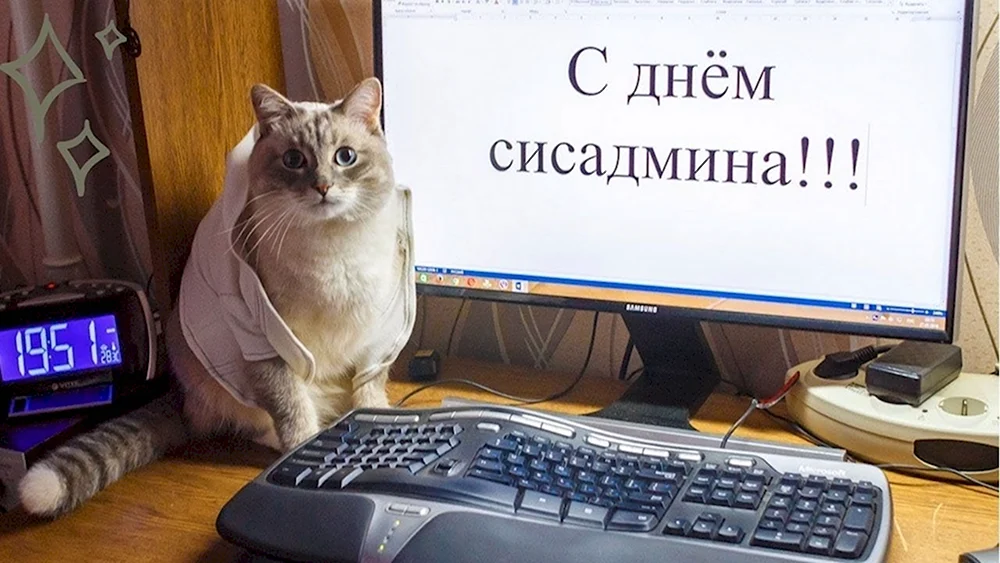 День системного администратора