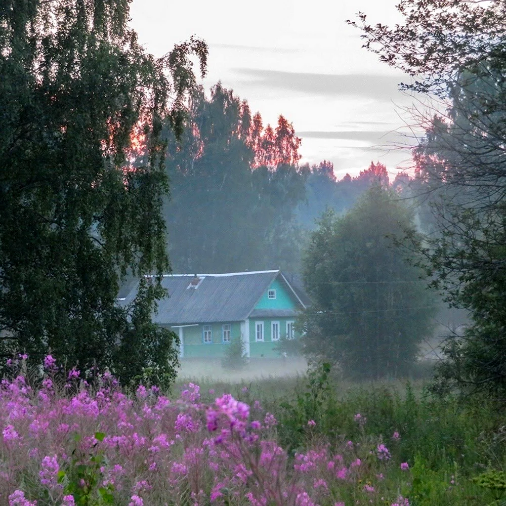 Деревня в тумане