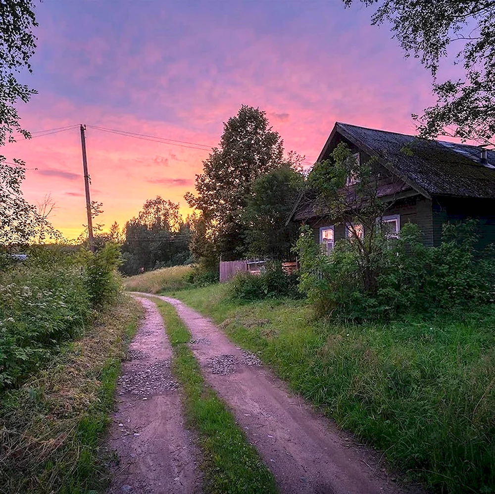 Деревня Вайб закат лето