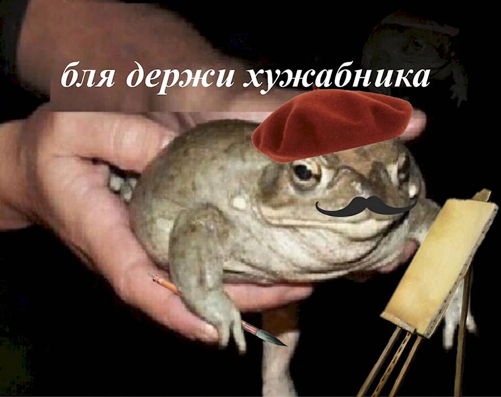 Держи жабу