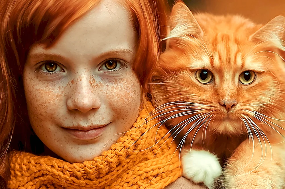 Девочка с рыжим котом