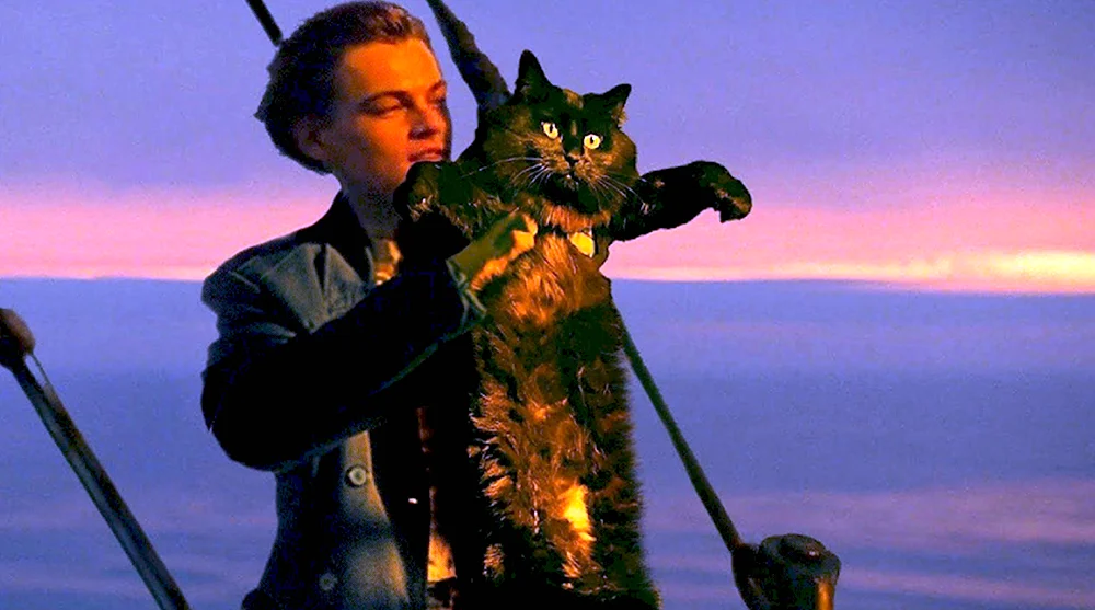 Ди Каприо и кот Титаник