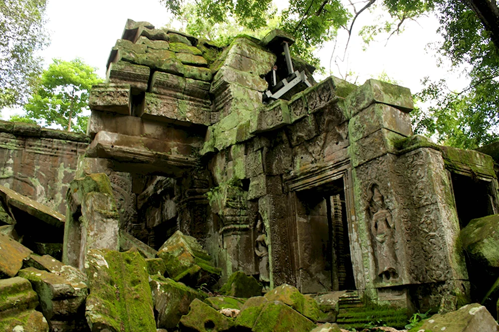 Диорама джунгли Ангкор ват