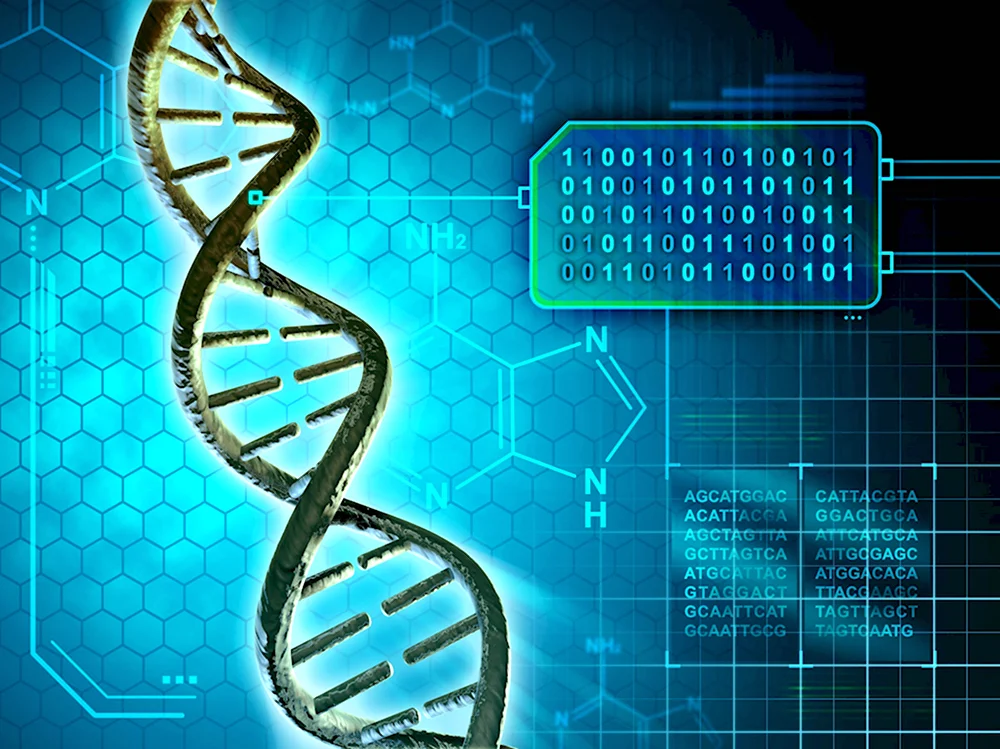 ДНК компьютер
