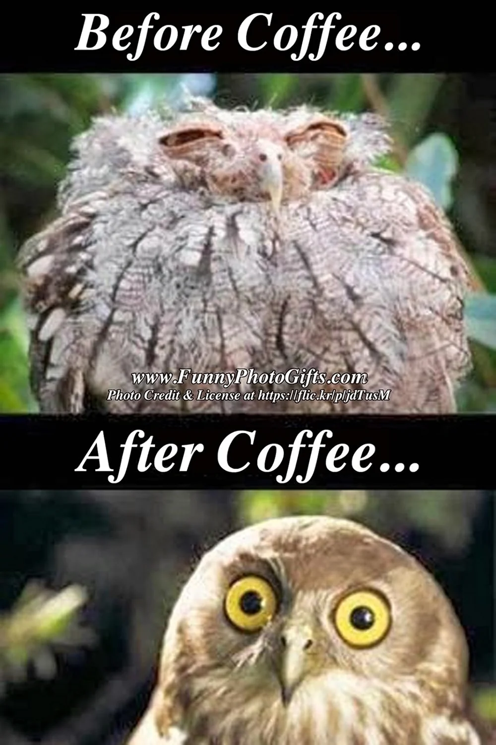 До и после кофе