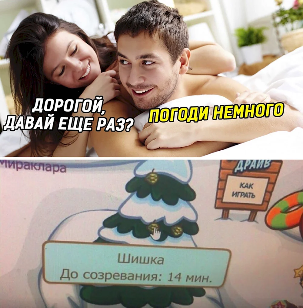 До созревания шишки