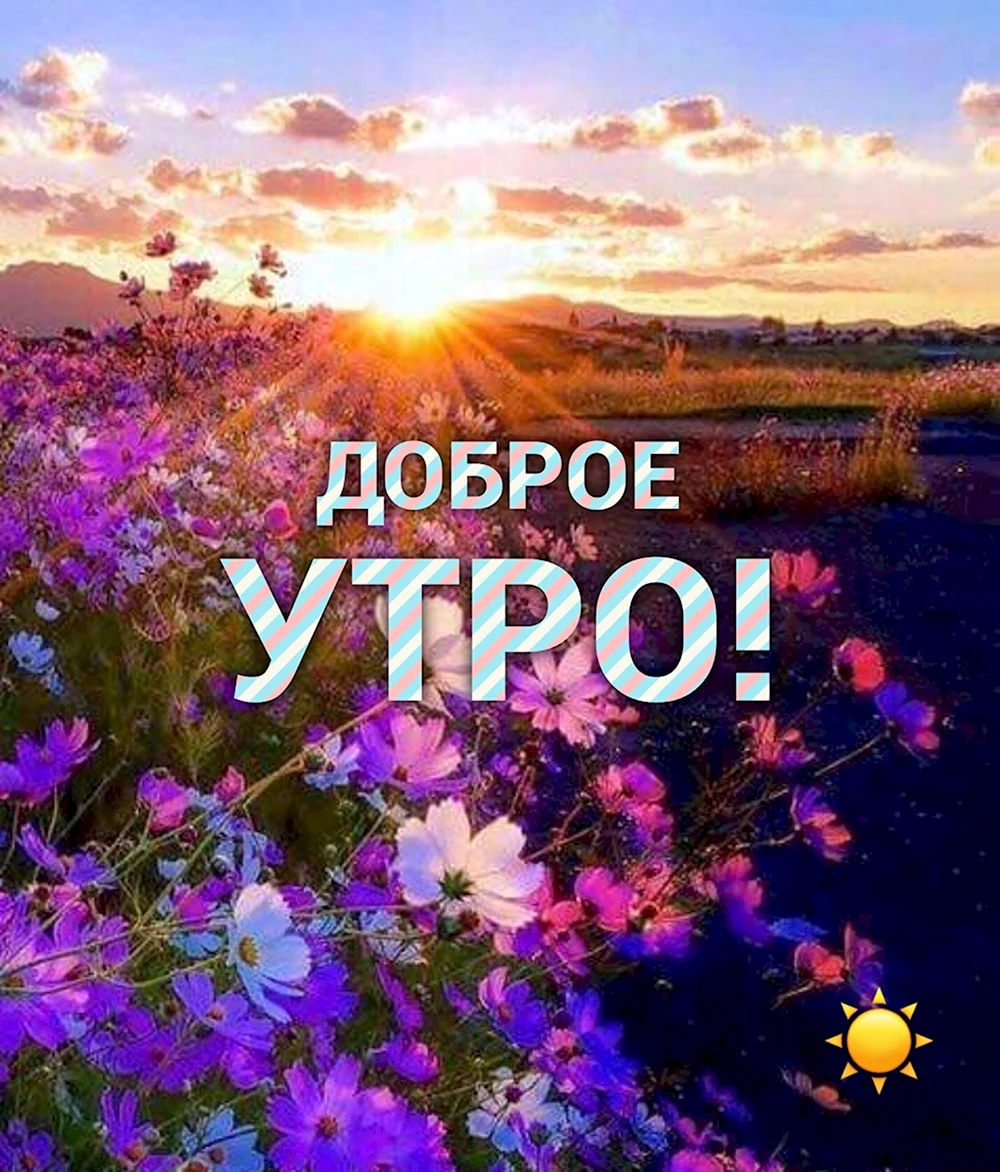 Доброе утро