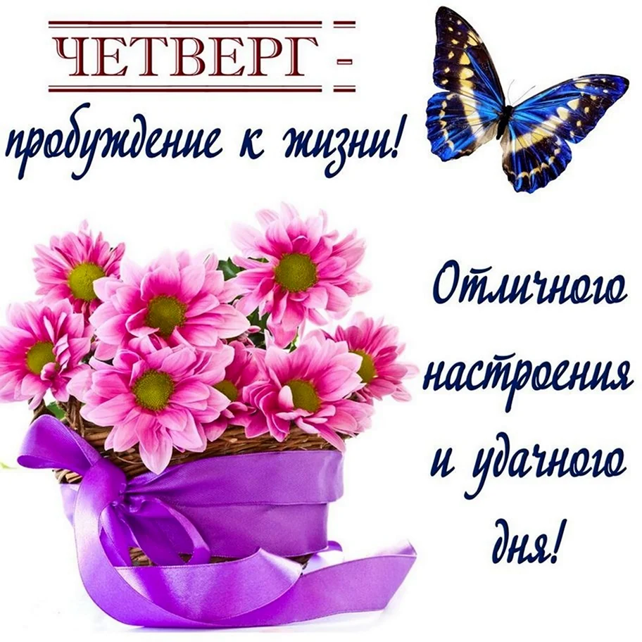 Доброе утро четверга