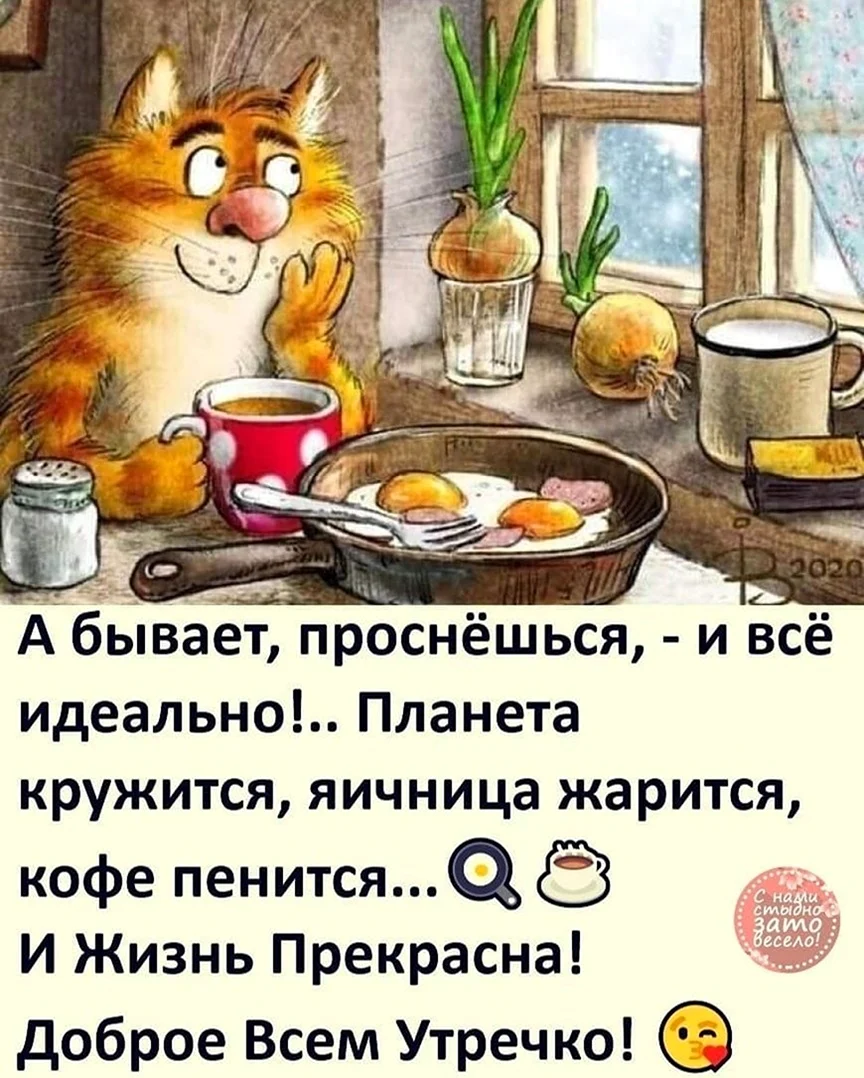 Доброе утро юмор