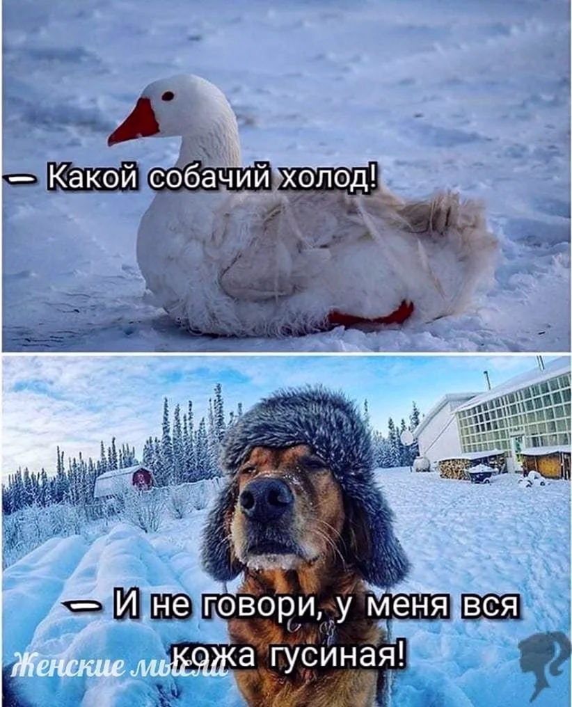 Доброе утро холодно