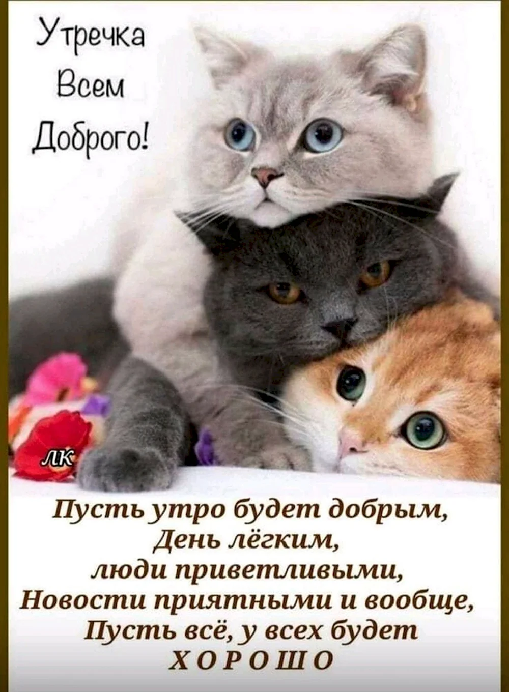 Доброе утро котенок мой