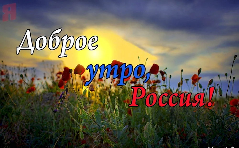 Доброе утро Россия