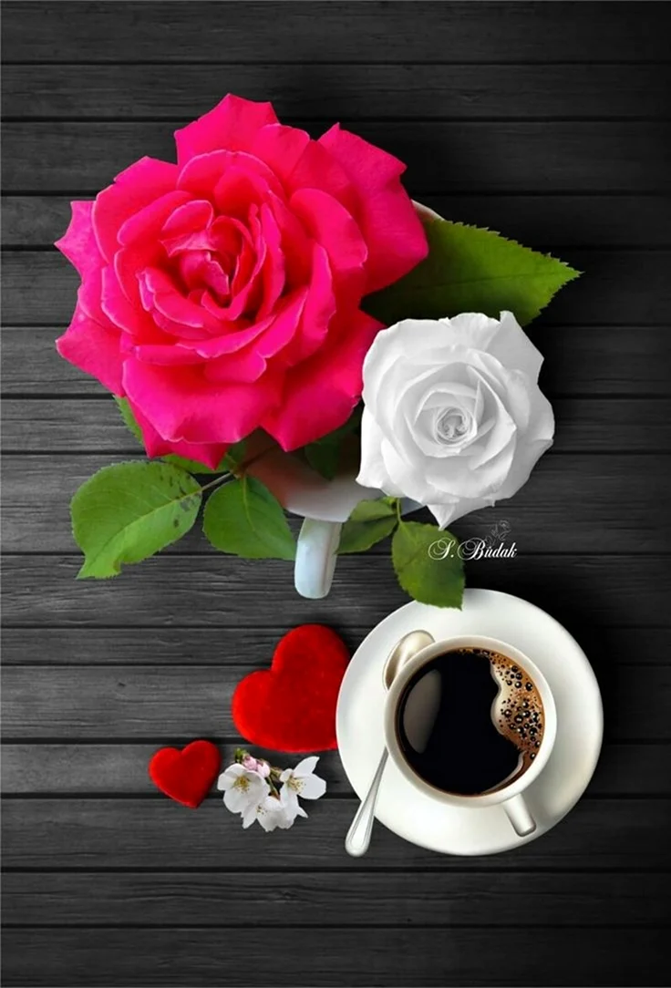 Доброе утро розы