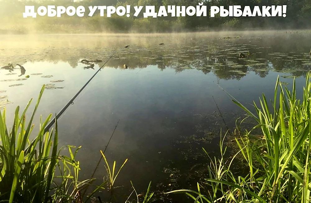 Доброе утро рыбаки