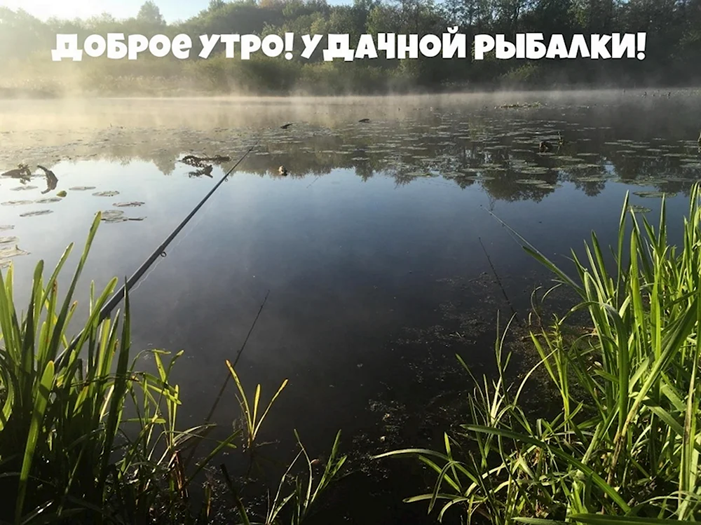 Доброе утро рыбаки