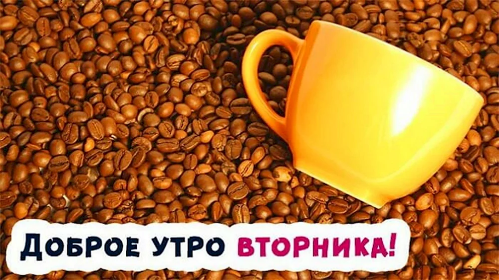 Доброе утро вторника