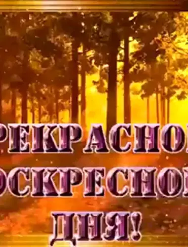 Доброго воскресного дня