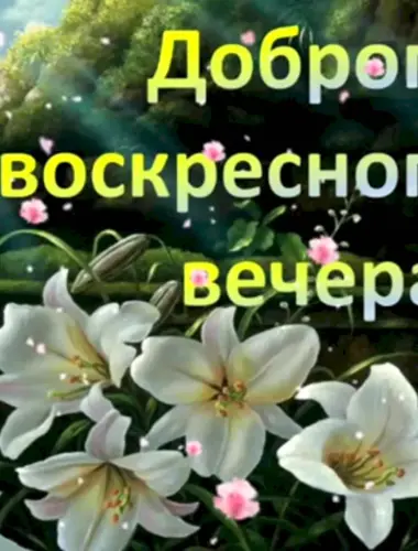 Доброго воскресного вечера