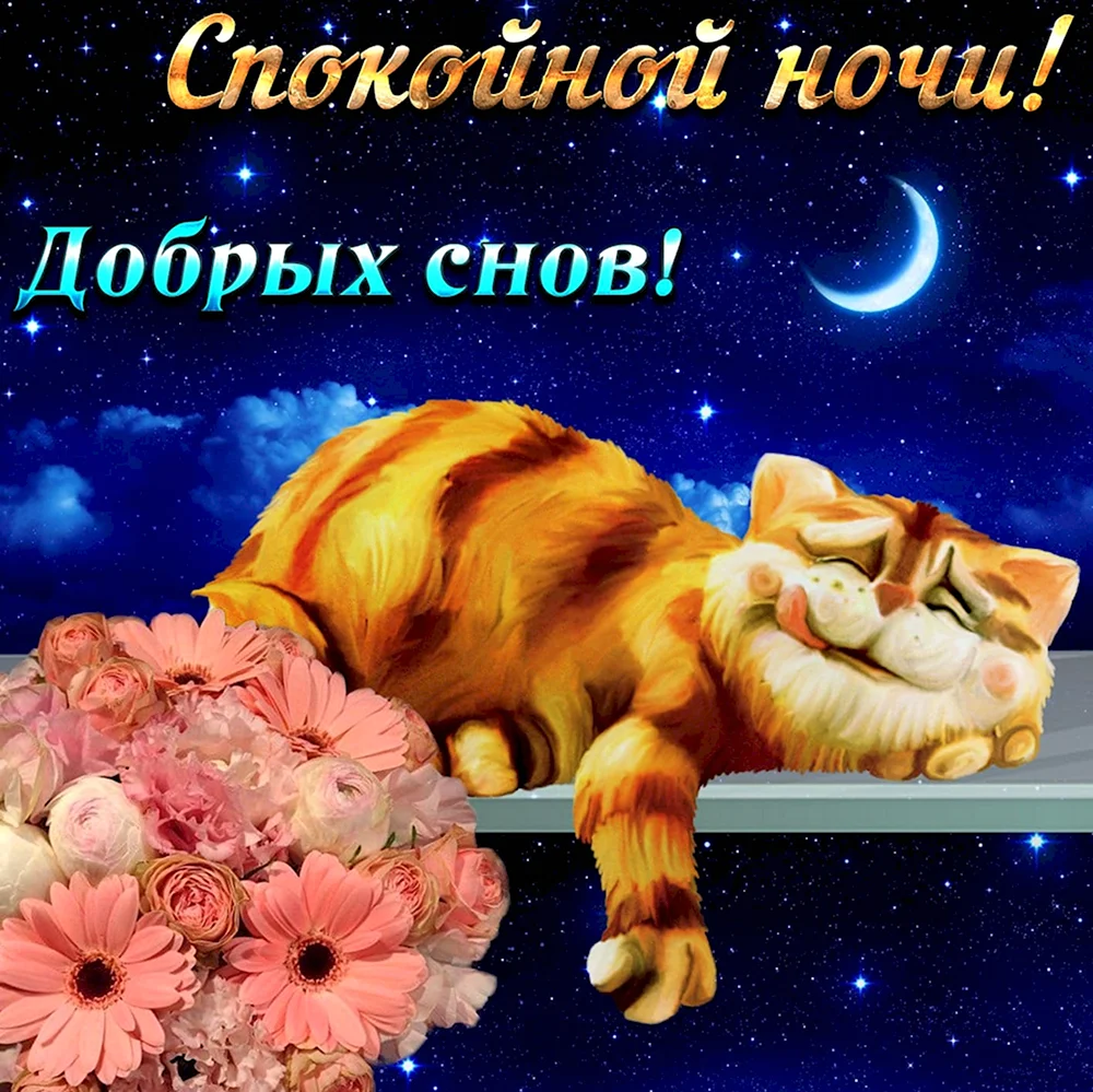 Доброй ночи